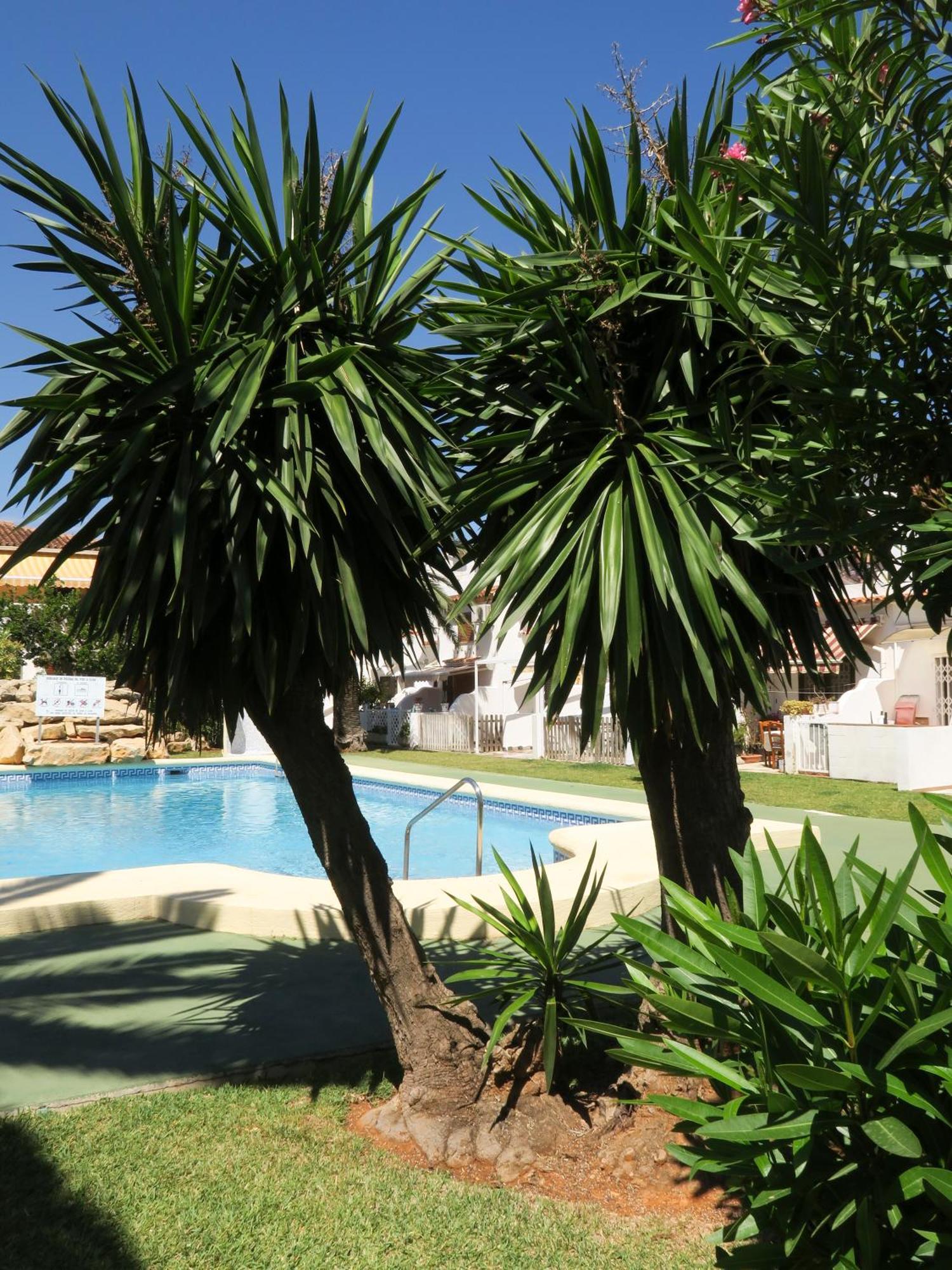 Casa Dos Piscinas Y Jardin Privado, Fibra 1 Gb Ferienhaus *